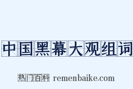中国黑幕大观组词是什么意思的图片